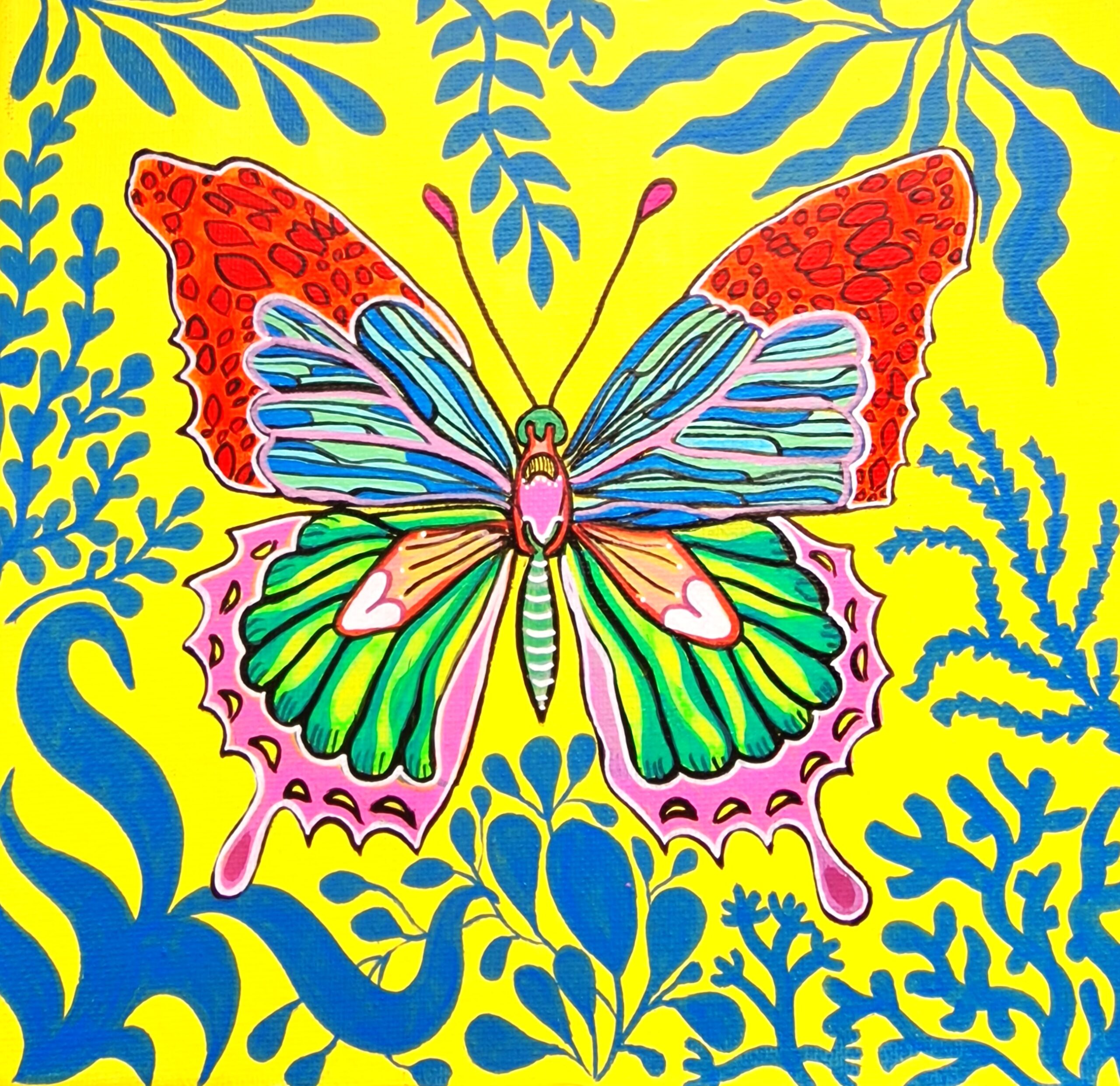 Mariposita